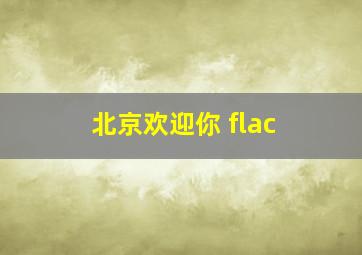 北京欢迎你 flac